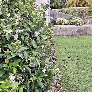 Moradia Stephanie Holiday home Funchal (Madeira)
